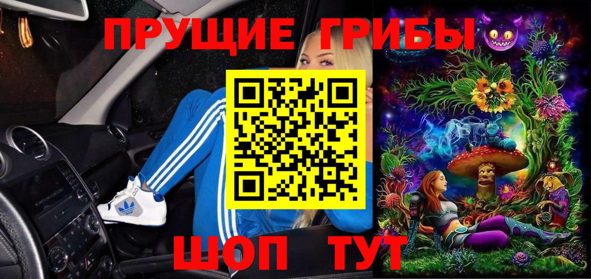 закладка  Псилоцибиновые грибы GOLDEN TEACHER  Вход с VPN  Моздок  Псилоцибиновые грибы мухоморы 